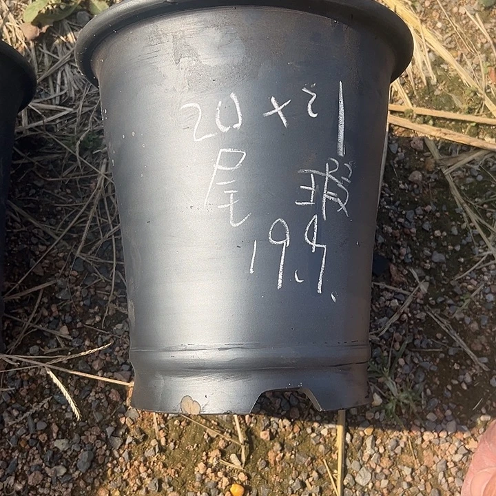 尾货微瑕直筒口径20高度21