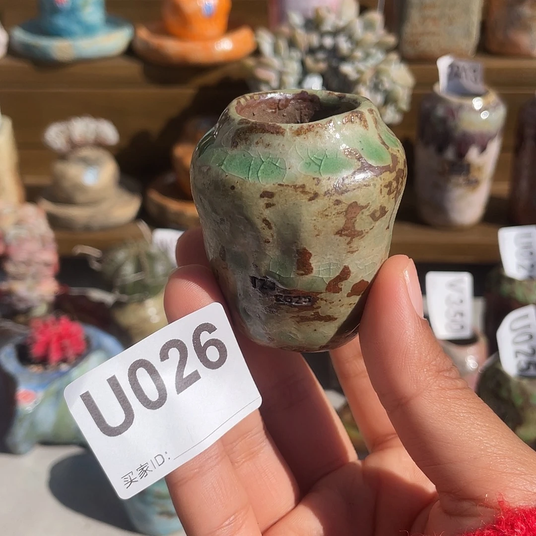 坛子姐花盆 保龄球小号内口2.5百搭