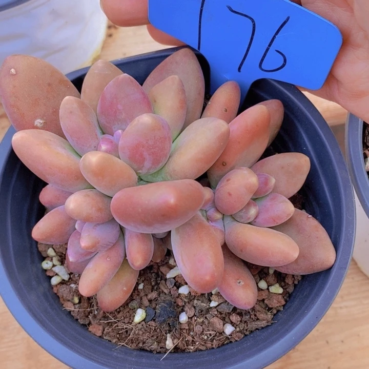 缘**此在家待几分钟在说我爱