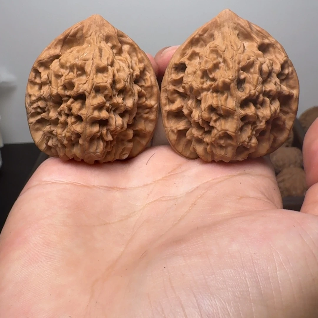 核桃46高桩正尖主筋明显