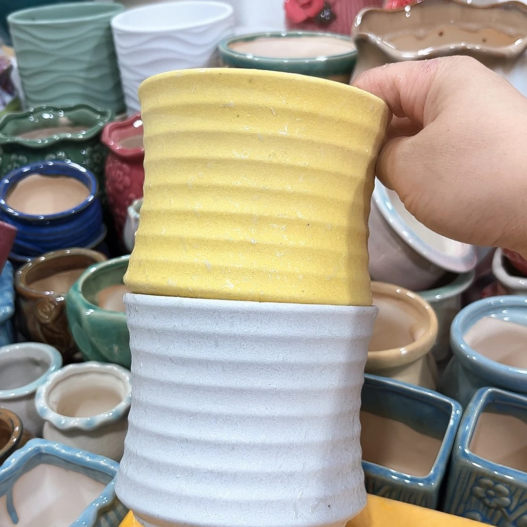 花盆花盆花盆花盆花盆花盆花盆