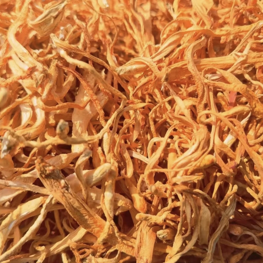 恩施高山 虫草花净重250克