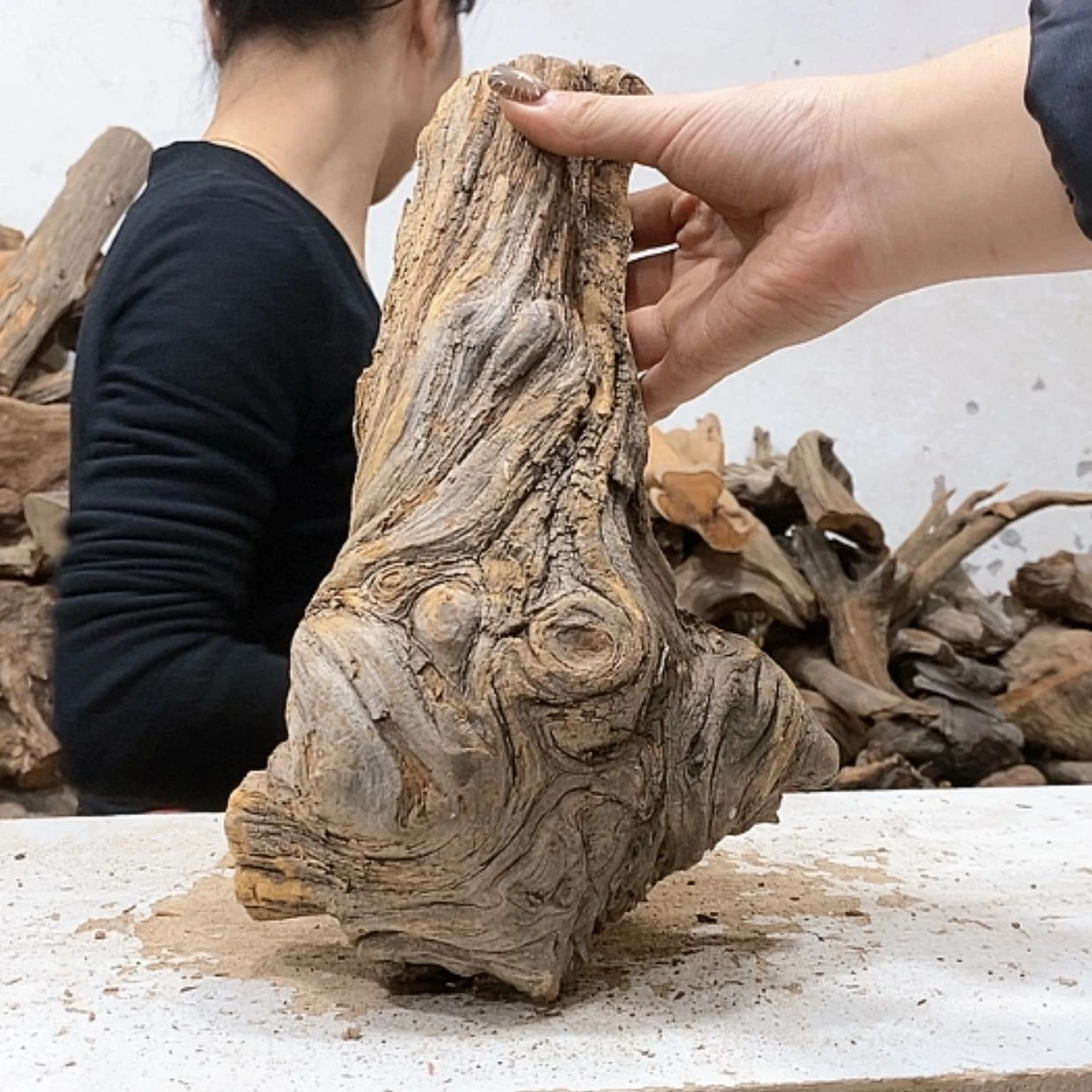 【闪购商品】柏木孤*我们都是好孩子