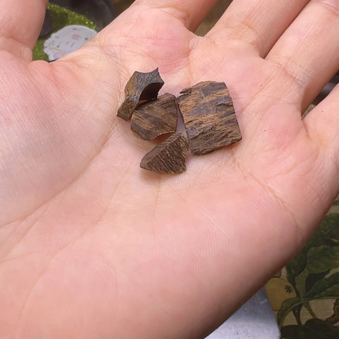 木木料越南沉水老料1克