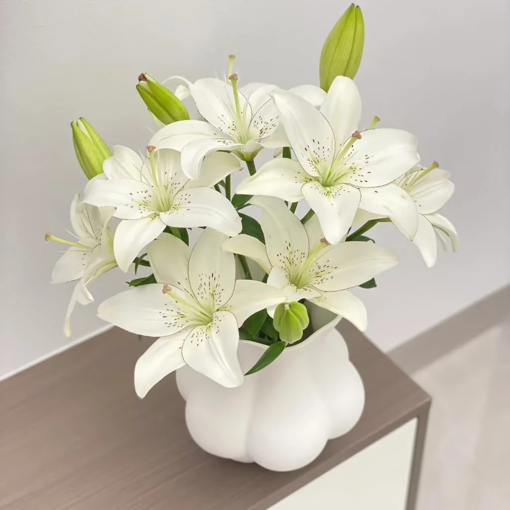 【香羿鲜花】亚百合/全场任意满两单及以上包邮