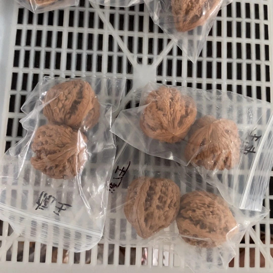 文玩核桃吊坠虎头王有瑕疵