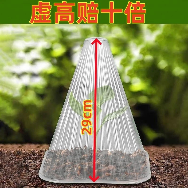 特大号育苗罩太阳罩高29cm加厚加大款植物花卉保温驱虫防鸟罩子