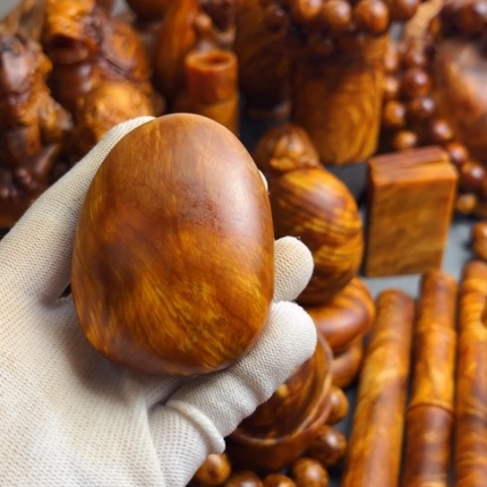 松木（琥珀木）其他