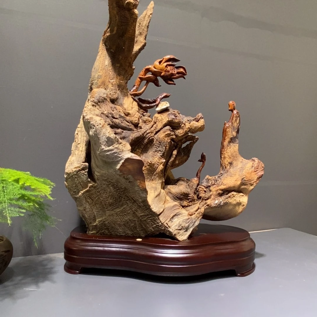 柏木花开见佛意境深邃