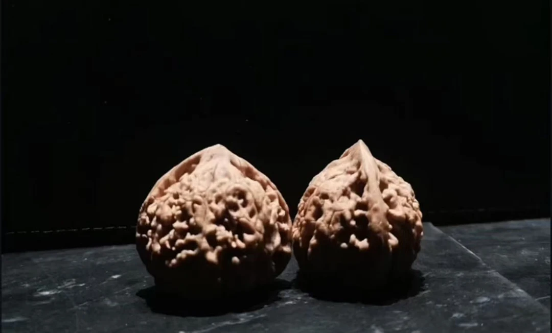 文玩核桃 密纹 白狮子等等