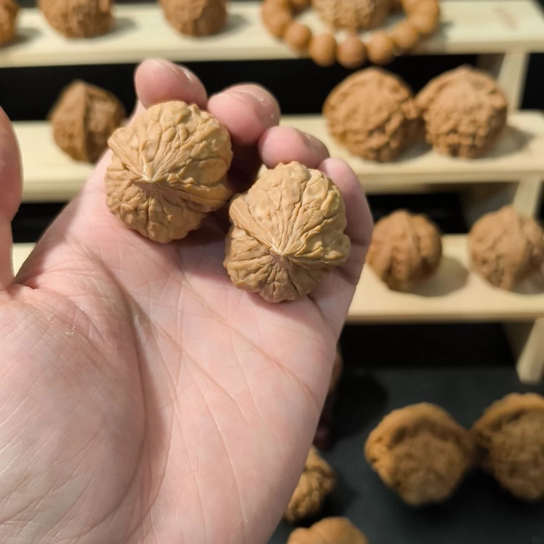 吊坠文玩核桃34龟甲纹