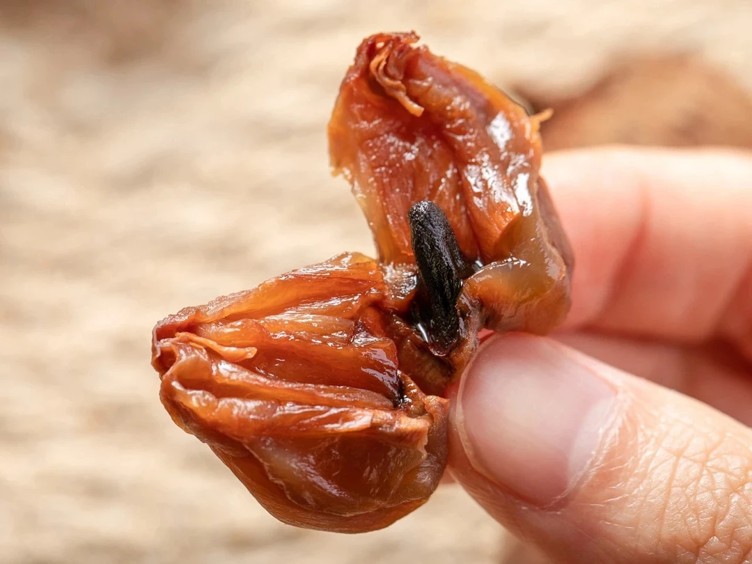 仙进奉荔枝干，增城荔枝干