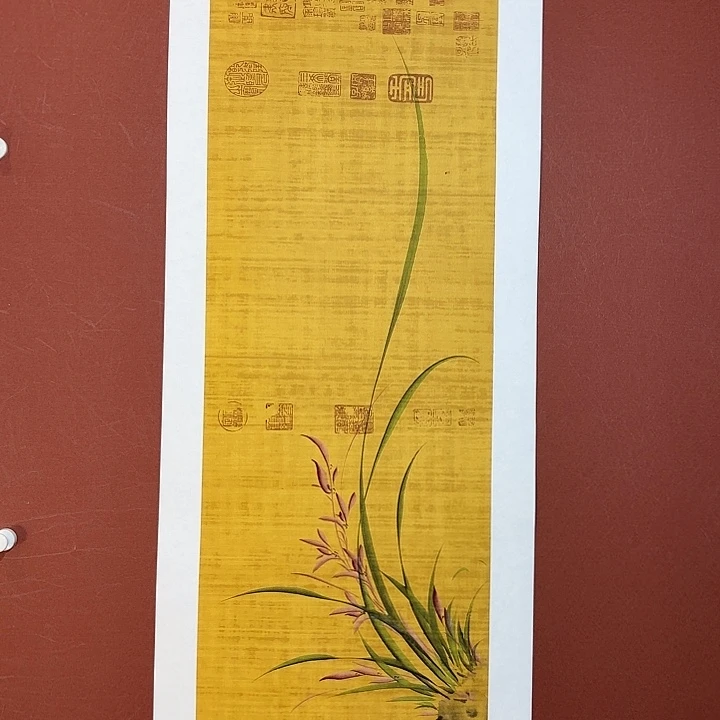 国画听兰老师花鸟