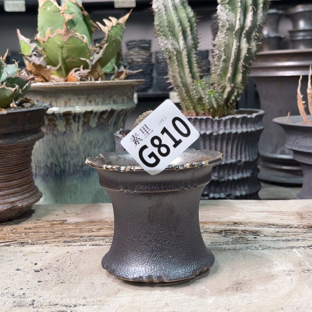 陶内口9.3高8景德镇