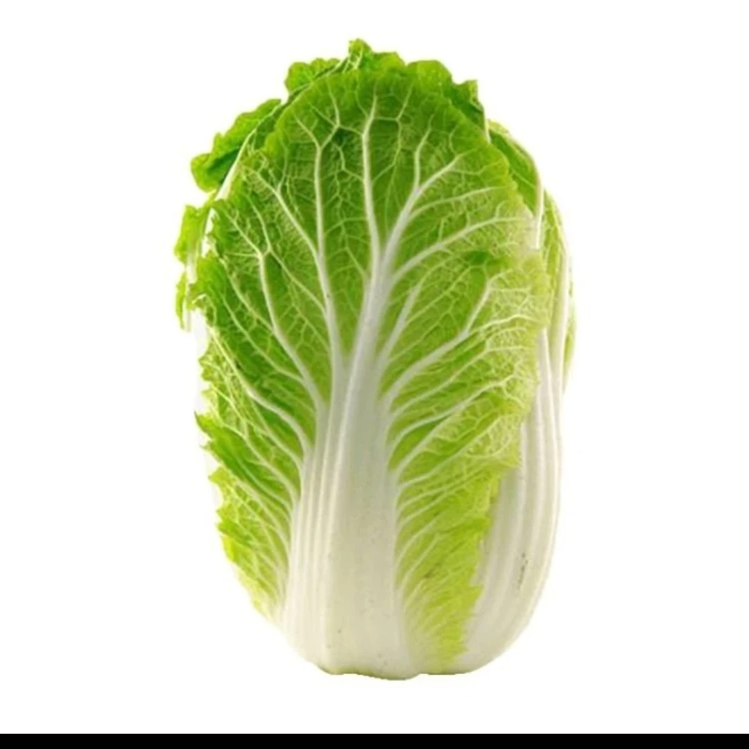 大白菜 约800克  绿色蔬菜
