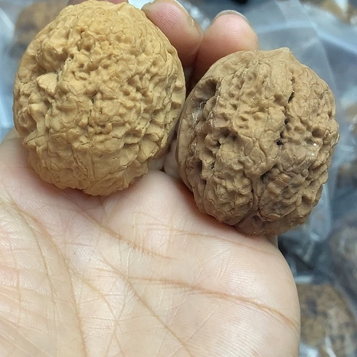 木质类云南铁核桃基地68