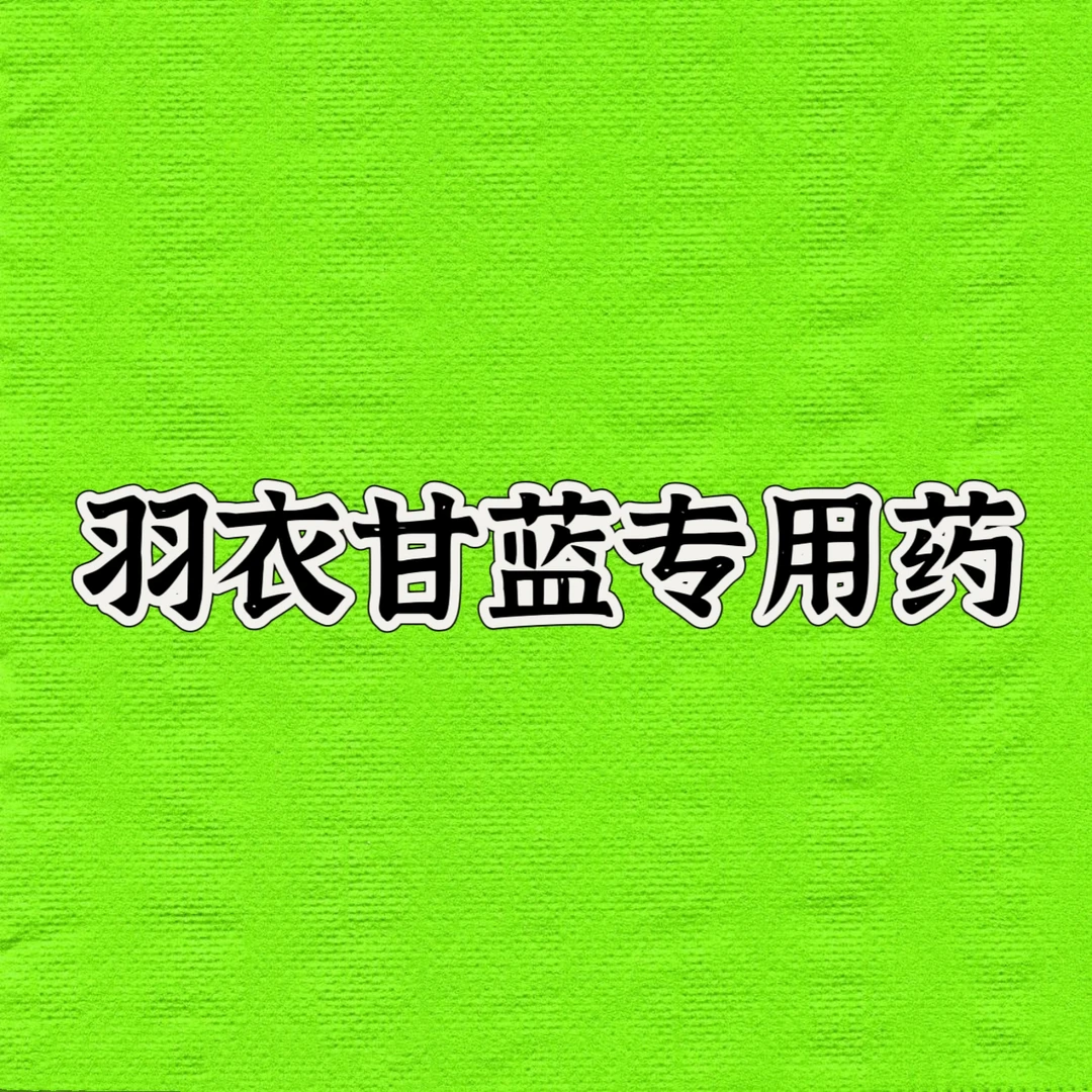 羽衣甘蓝 玫瑰甘蓝 耐寒耐热观赏植物