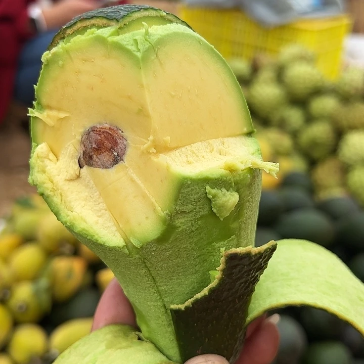 中国大陆巨无霸牛油果5斤