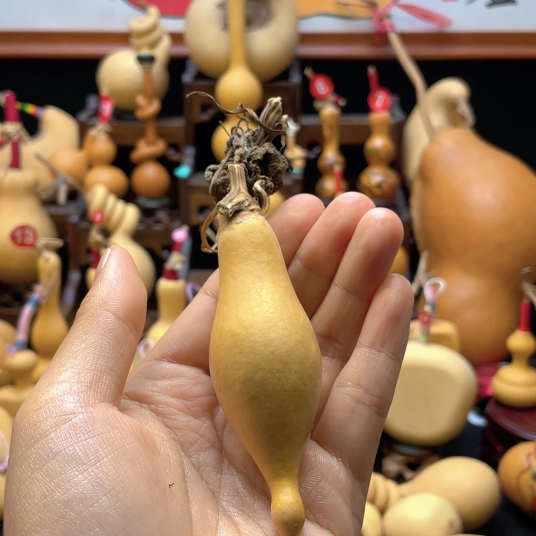 云**辰大自然的秘密第十节第一