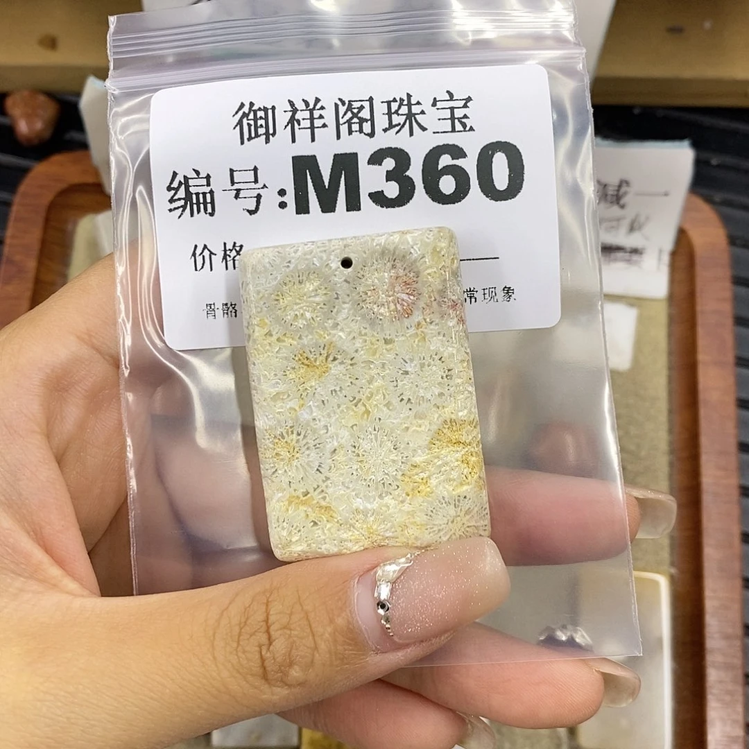 硅化珊瑚（珊瑚玉）未镶嵌颈饰