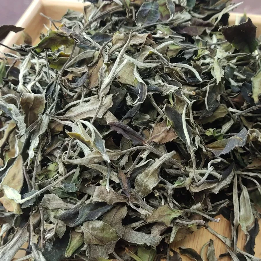 【张小妹优选】现收云南 老树白茶 口感细腻 醇香山货
