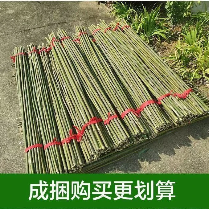 1到6公分粗菜架竹竿粗细菜园搭架瓜果蔬菜辣椒爬藤架篱笆彩旗杆竹