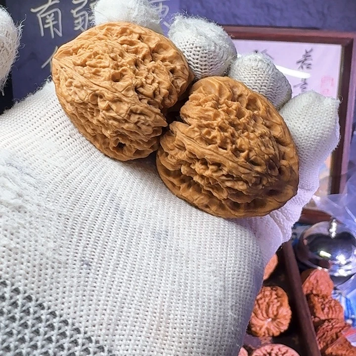 大叶紫檀（黑酸枝木类）