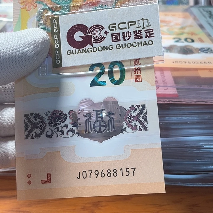 塑料飞马 079688157