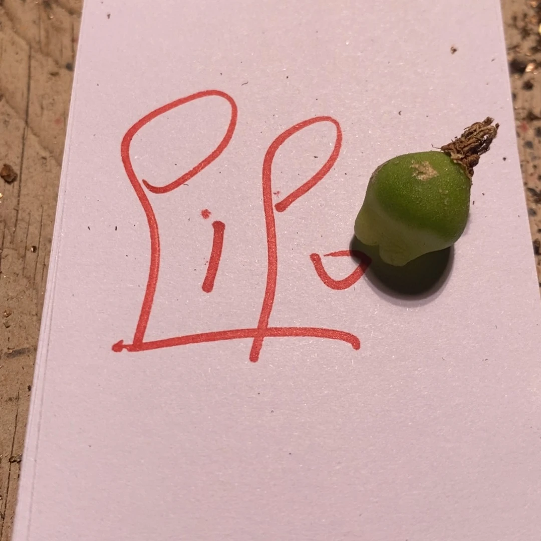 9190一个一个一个