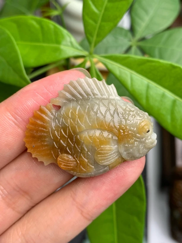 天然缅甸翡翠A货毛货立体鱼