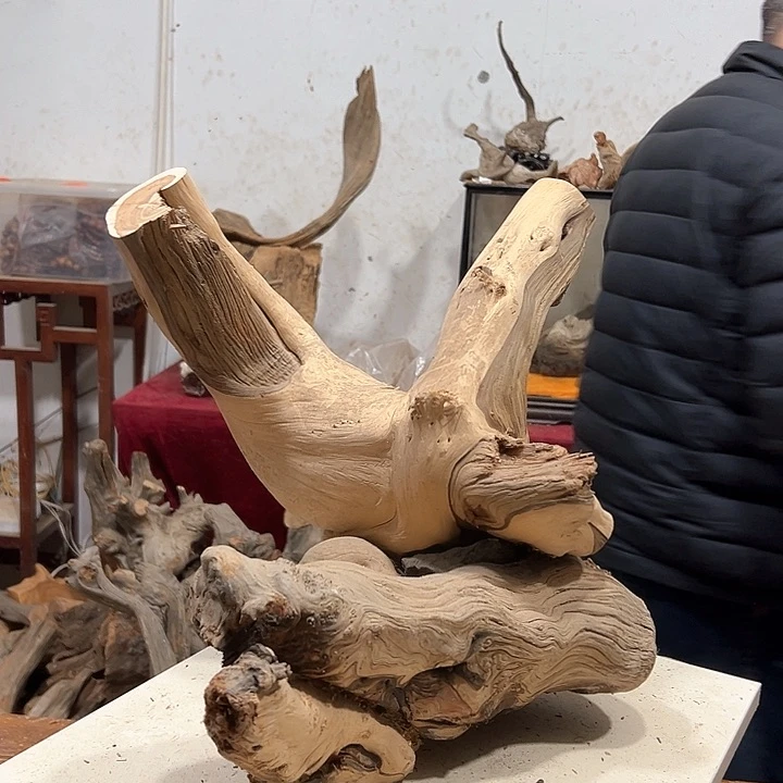 柏木东*我们的生活也是