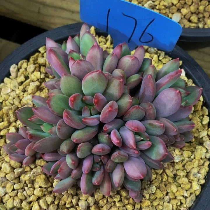 这么多事要我自己解决