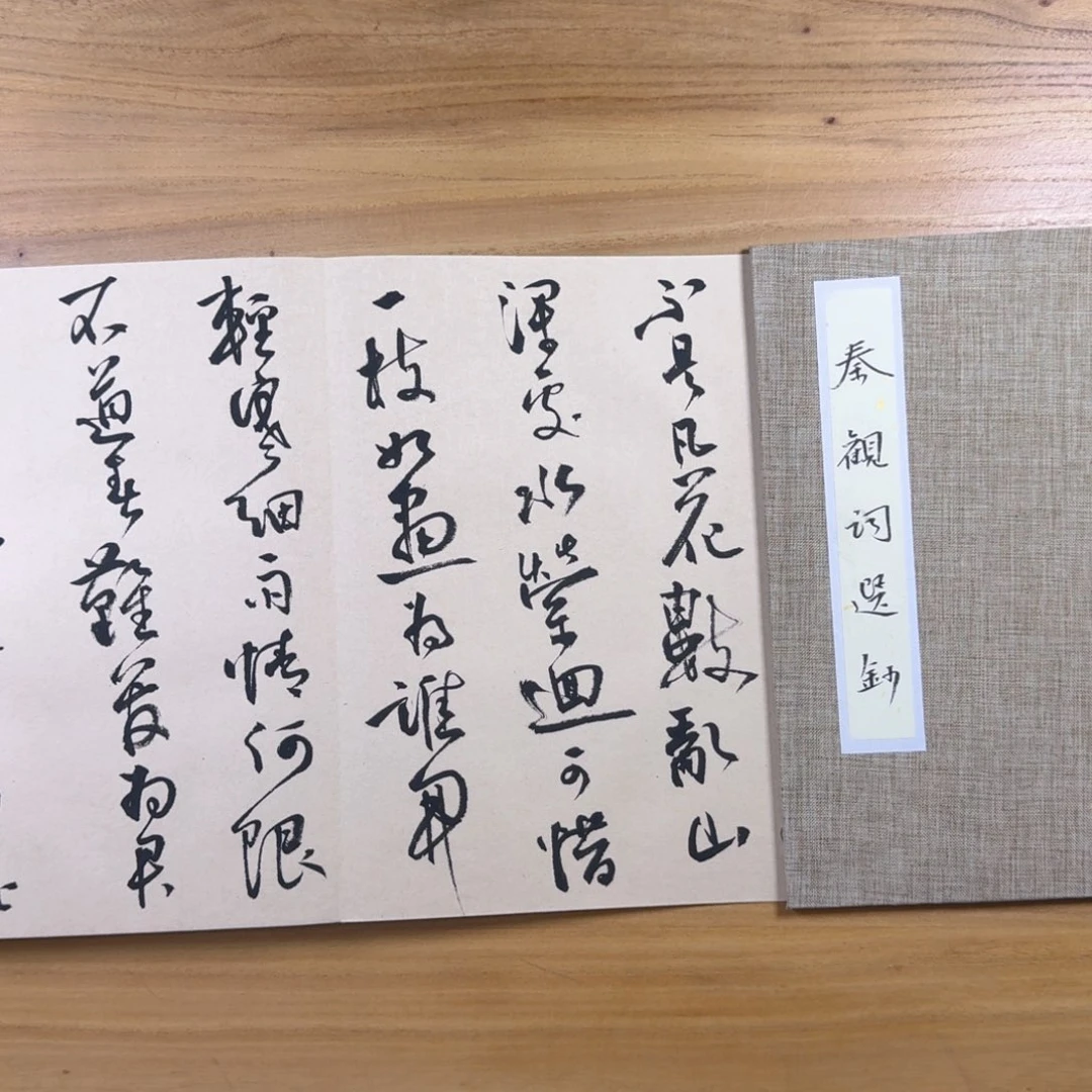 书法中书协老师书法作品