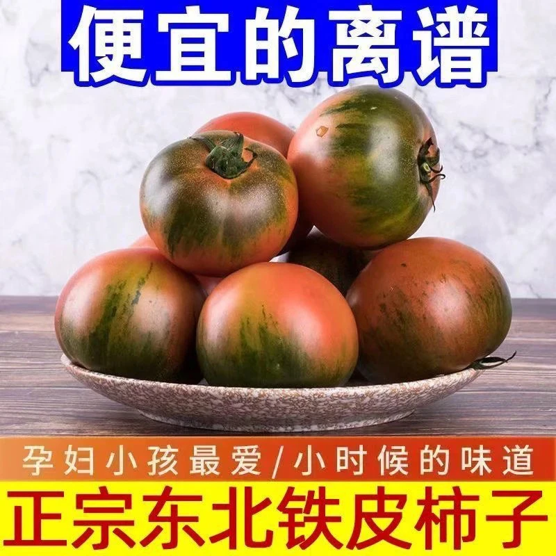 （捡漏）疤痕果正宗东北铁皮柿子盐碱地西红柿鹰爪绿腚草莓自然新鲜
