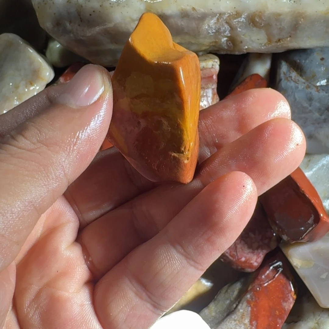 向***鱼寿山石888888888888888