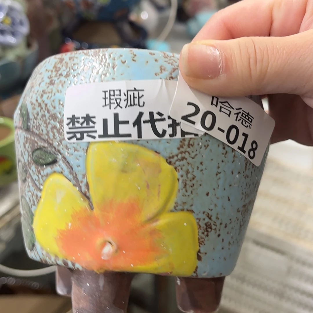【闪购商品】红陶2018