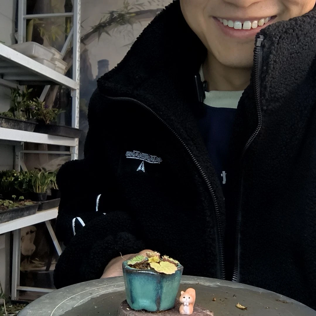 R****e小盆景小植物一物一拍52