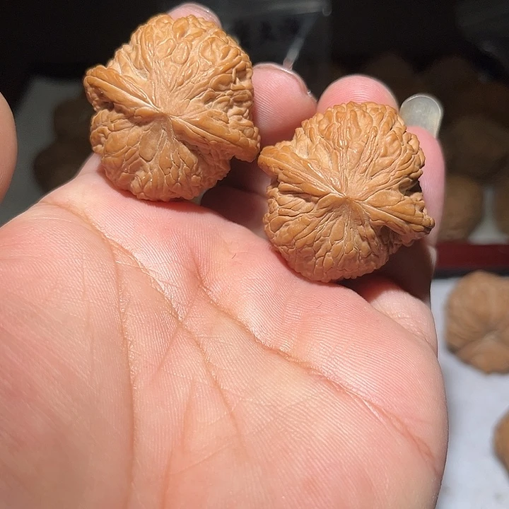 木39.5全品泥鳅背。