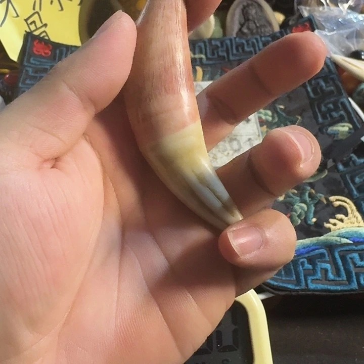 大哥专拍链接一号