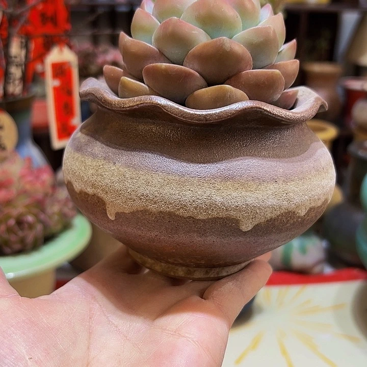 景德镇陶瓷2单包邮