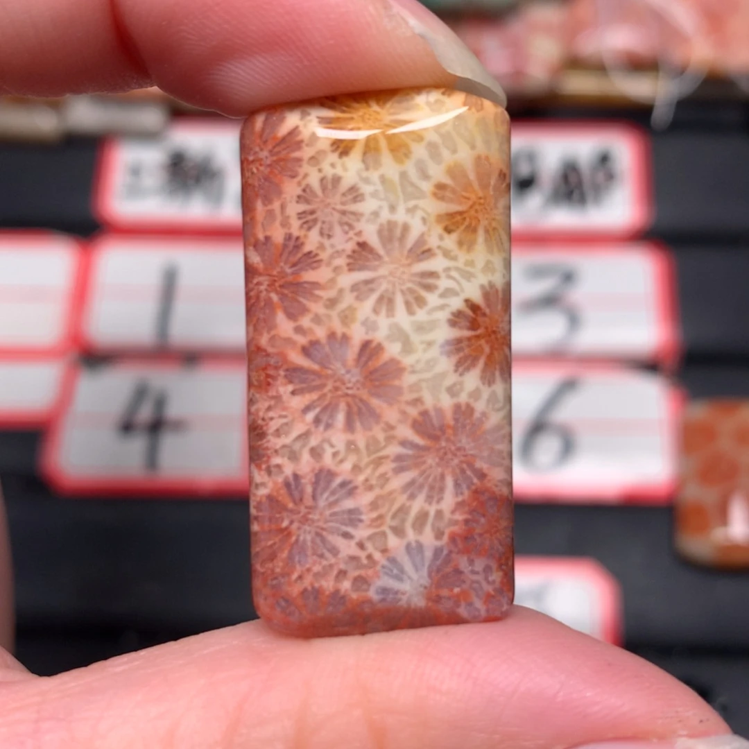 【闪购商品】未镶嵌颈饰硅化玉T***y