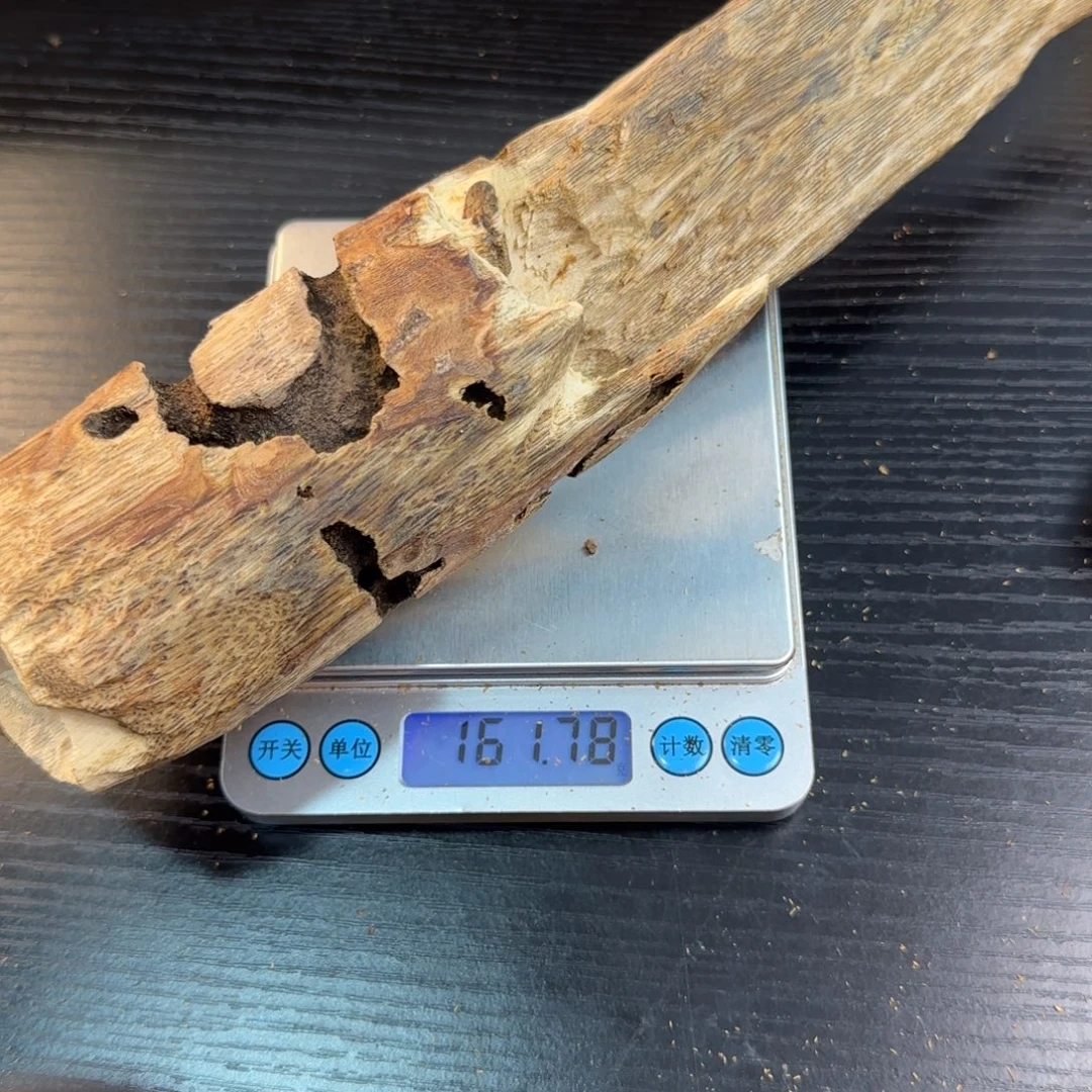 香料奇楠虫漏161.81克