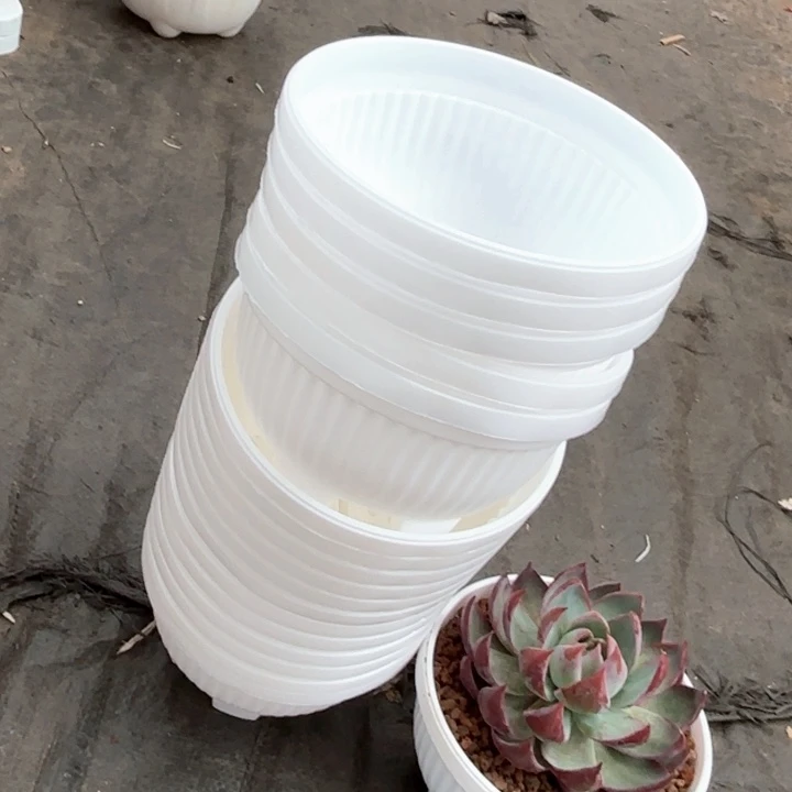 14公分白色聚宝盆12个