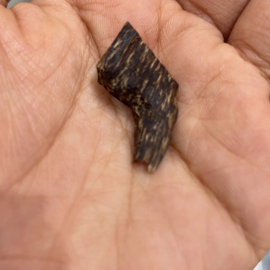 香榧木海南大山糖结黑棋0.7g福利