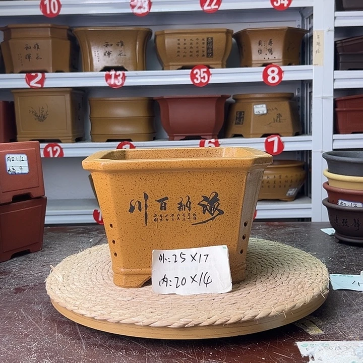 紫砂花盆蛇年大吉