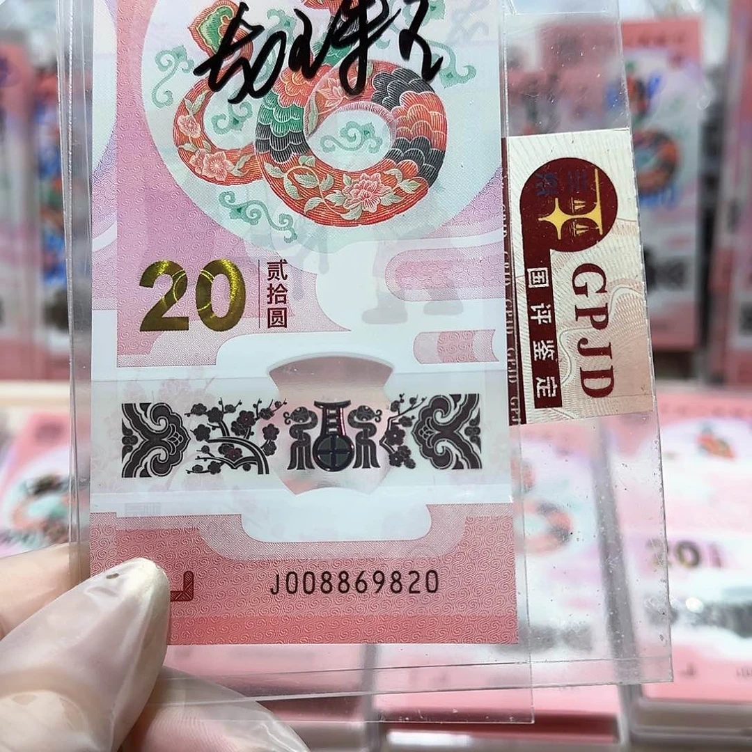 纸008869820。。。。。龙珠王