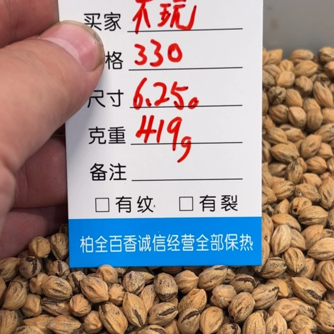 不***籽柏香籽散子 419 克散子