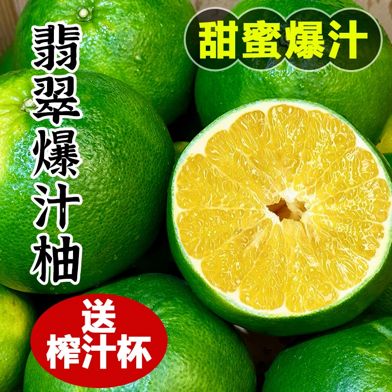 【顺丰次日达】翡翠爆汁柚5斤装新鲜青皮柚当季水果礼盒顺丰福建省