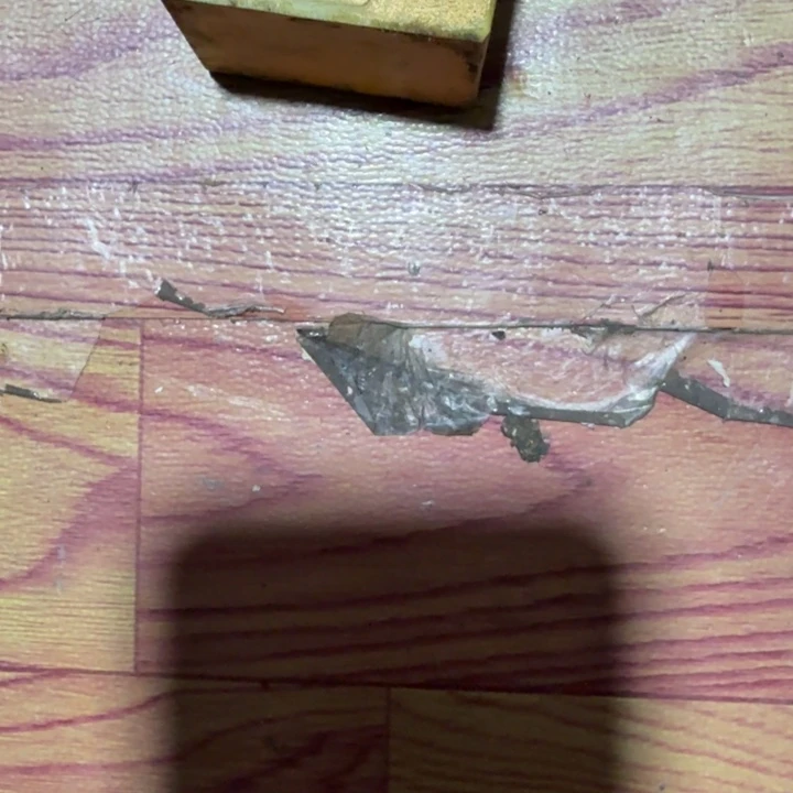 祖***童扇子把b宝贝不扭扭捏捏那句