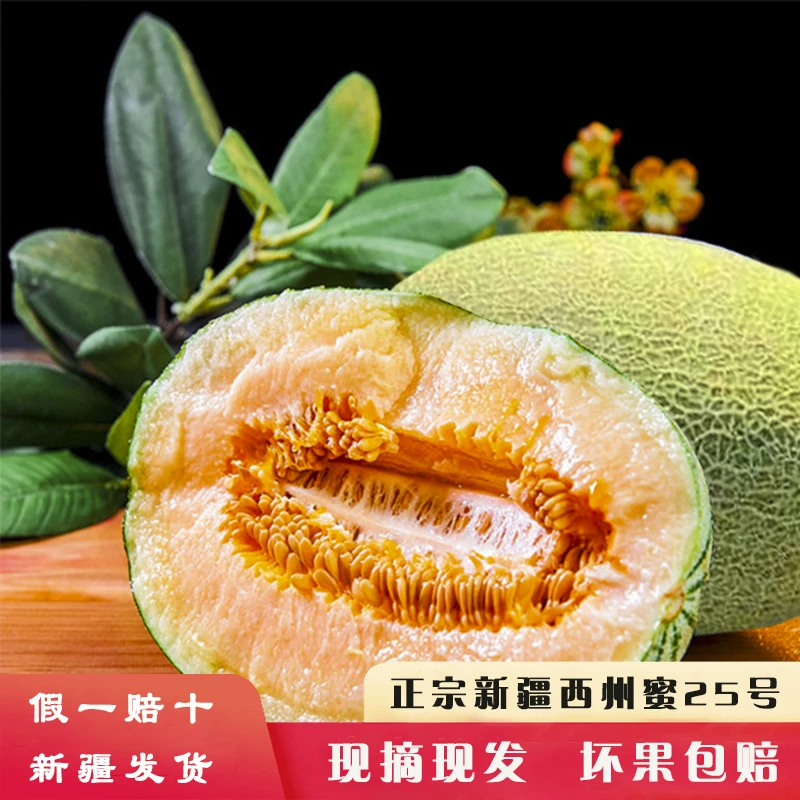 产地直发新疆正宗西州蜜25号哈密瓜时令现采现摘8-9斤顺丰包邮
